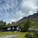 Skogshorn