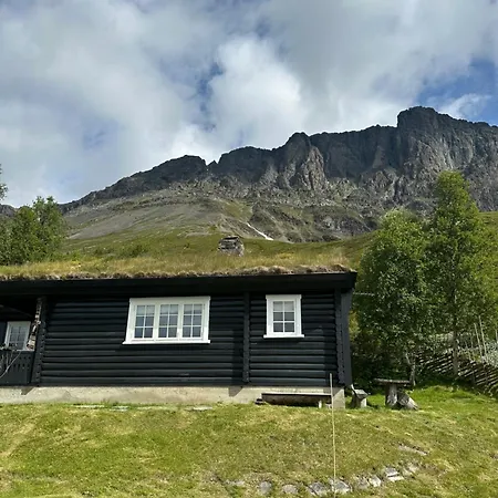 Skogshorn Chaleter