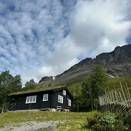 Skogshorn