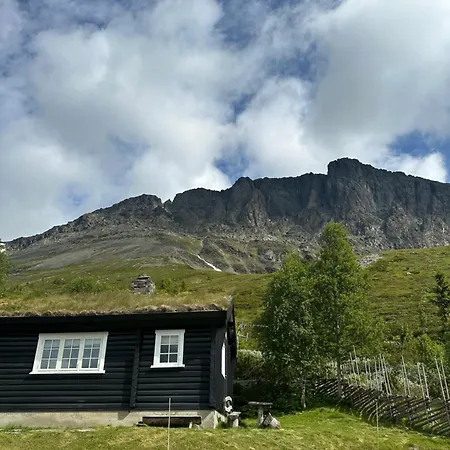 Skogshorn Markegardlian