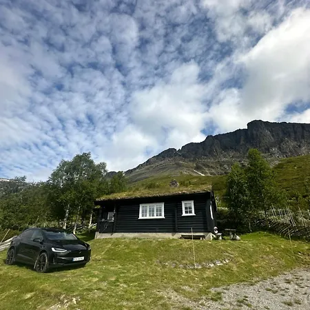 Skogshorn Markegardlian