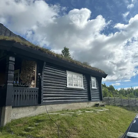 Skogshorn * Markegardlian