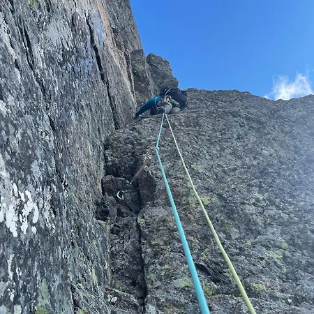 Skogshorn Markegardlian