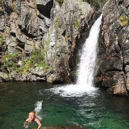 Skogshorn Markegardlian