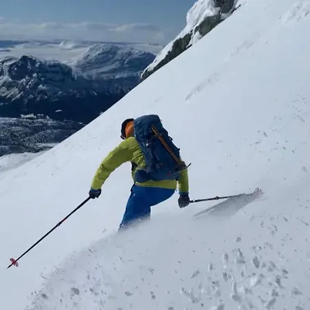 Skogshorn Alpesi faház *