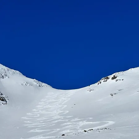 Alpesi faház Skogshorn *