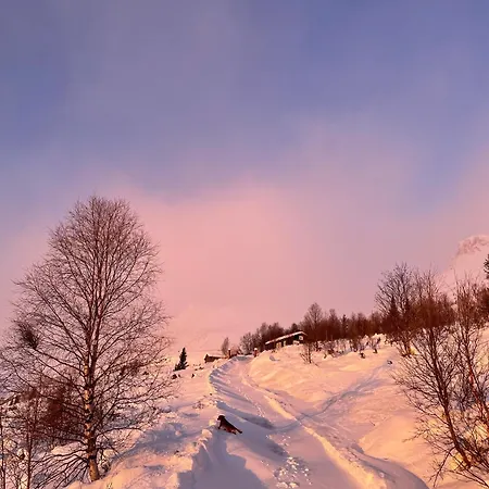 Skogshorn Markegardlian