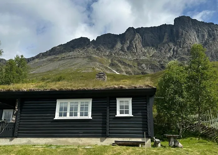 Skogshorn Alpstuga
