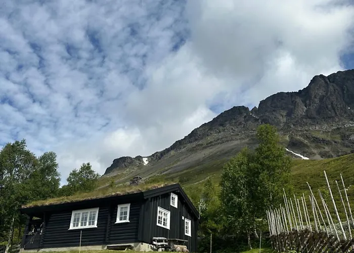 Skogshorn