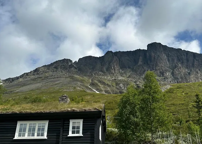 Skogshorn Markegardlian
