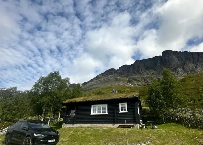Skogshorn Markegardlian