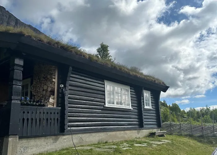 Skogshorn * Markegardlian