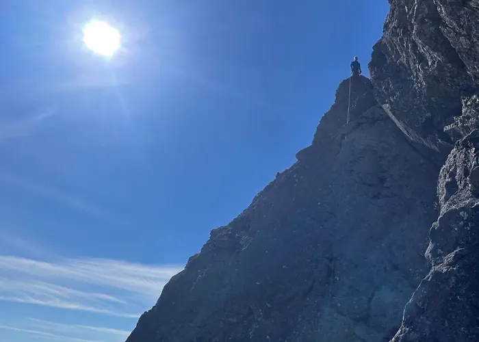 Alpstuga Skogshorn
