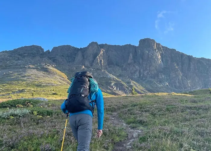 Skogshorn Alpstuga *