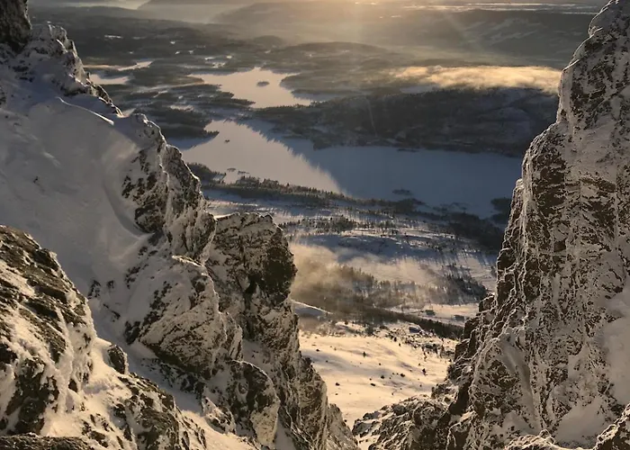 Skogshorn Alpstuga Markegardlian