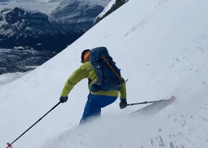Skogshorn Alpstuga *