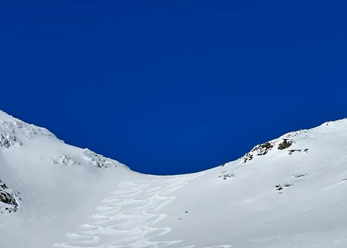Alpstuga Skogshorn *