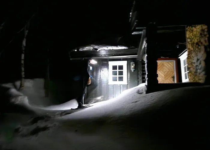 Alpstuga Skogshorn *