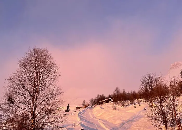 Skogshorn Markegardlian