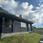 Skogshorn * Markegardlian