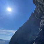 シャレー Skogshorn